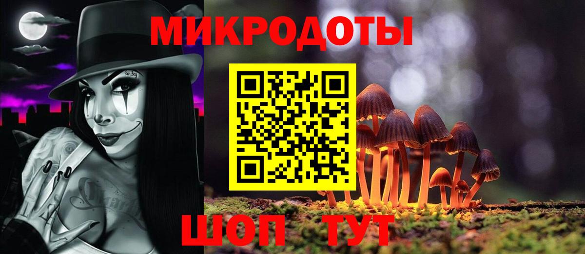Дзержинск  Псилоцибиновые грибы Cubensis  Вход с VPN 