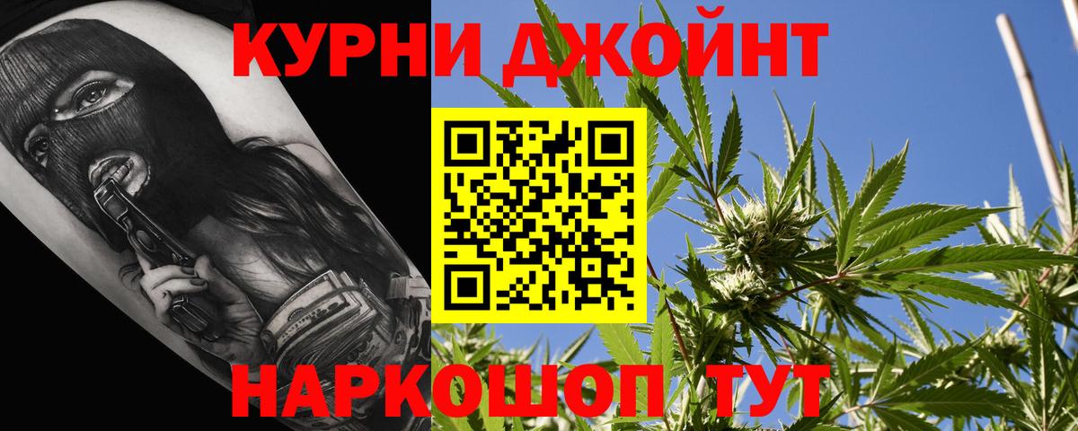 Конопля план Дзержинск